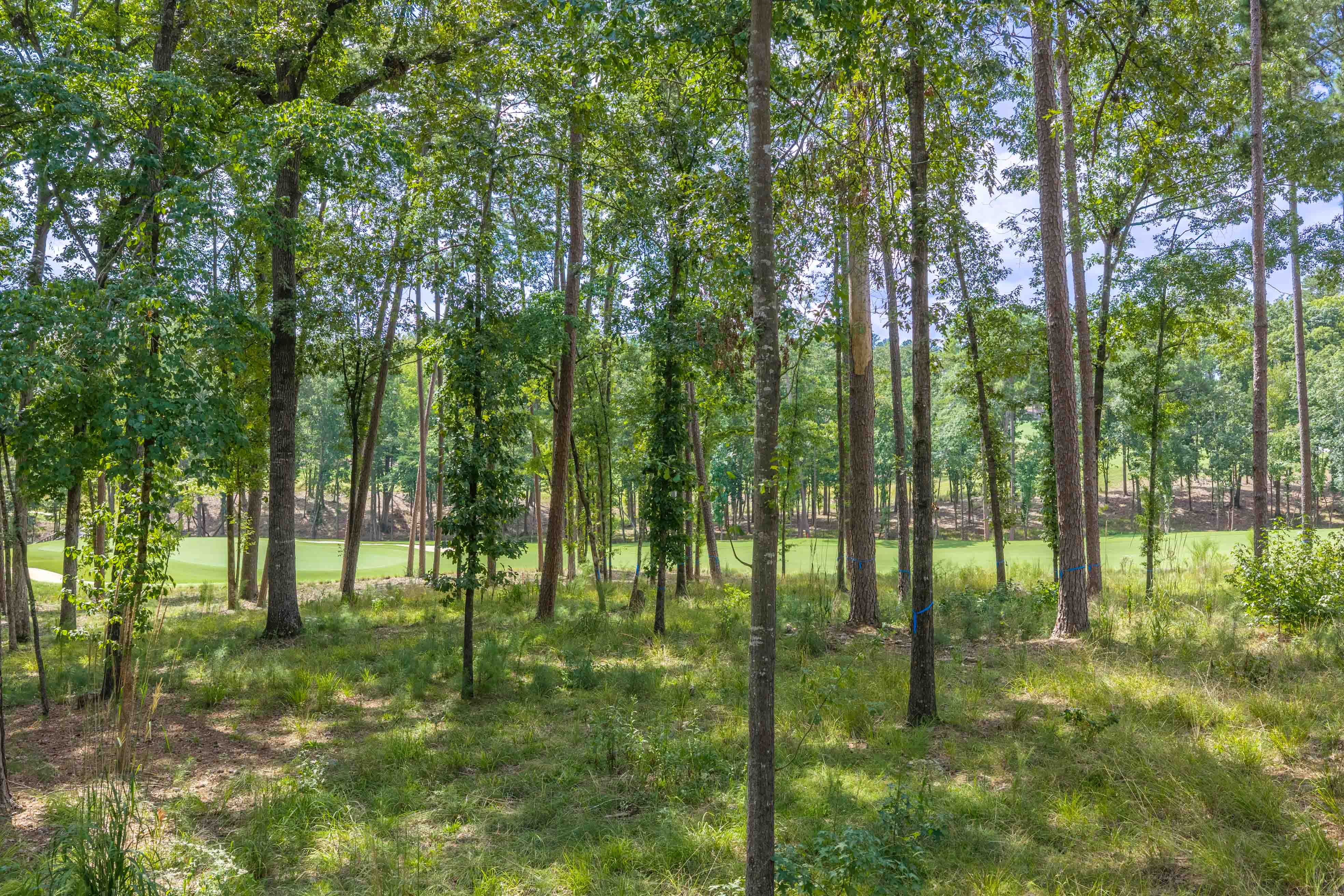 1131 Grove Ridge View image 10